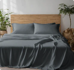 Master the Art of Sleep